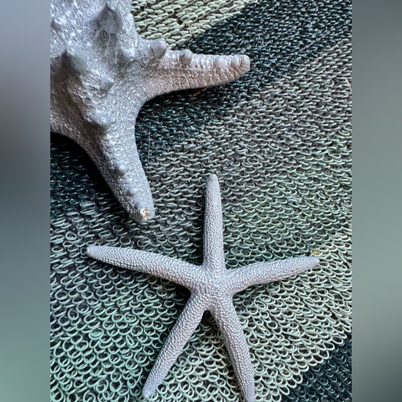 Small Plastic Silver Seashell and Starfish Decor Set - Picture 4 of 8